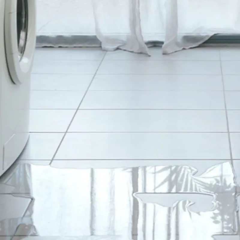 Appliance Leak Cleanup in Gorman, TX