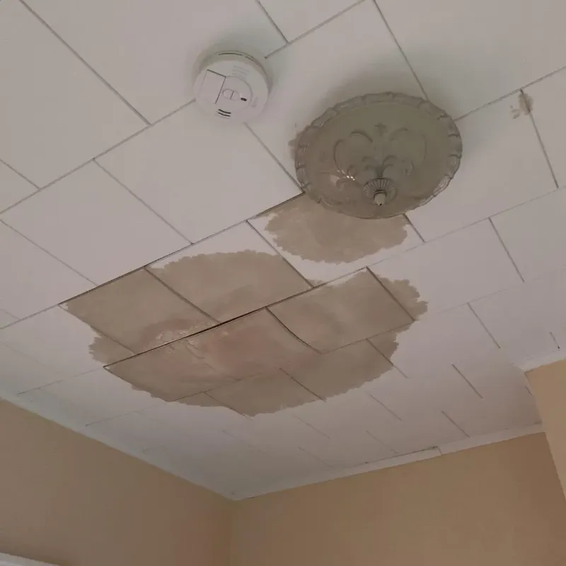 Ceiling Water Damage Repair in Gorman, TX