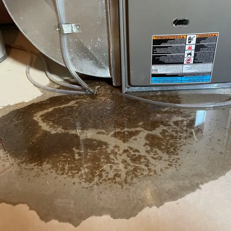 Pipe Burst and Leak Restoration in Gorman, TX