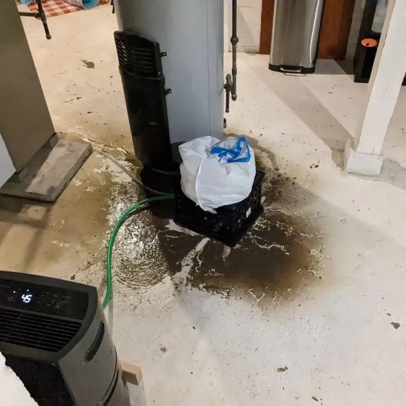 Sewage Backup Cleanup Service in Gorman, TX